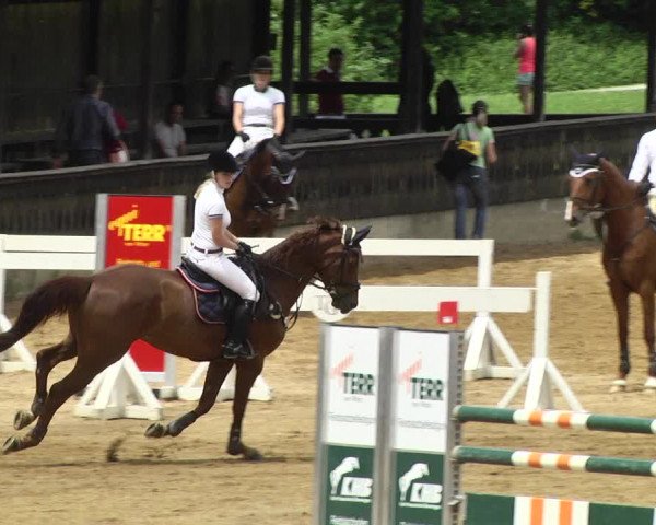 Reitturnier Schwaiganger 2017