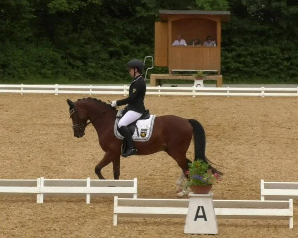 Reitturnier Schwaiganger 2017