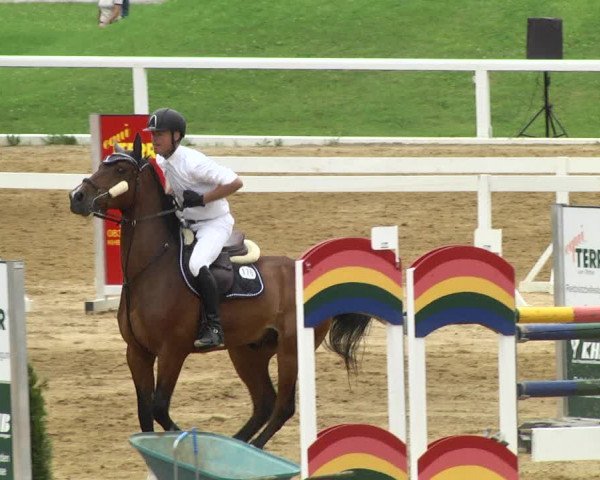 Reitturnier Schwaiganger 2017