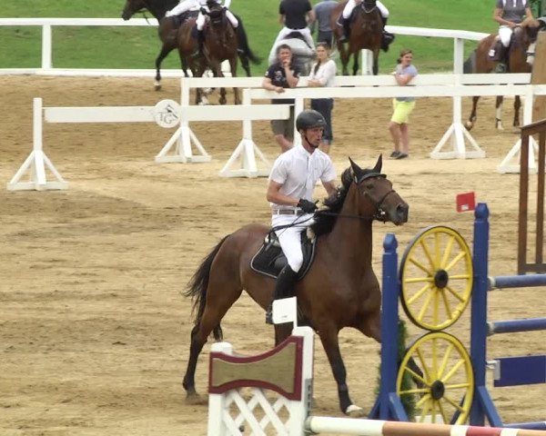 Reitturnier Schwaiganger 2017