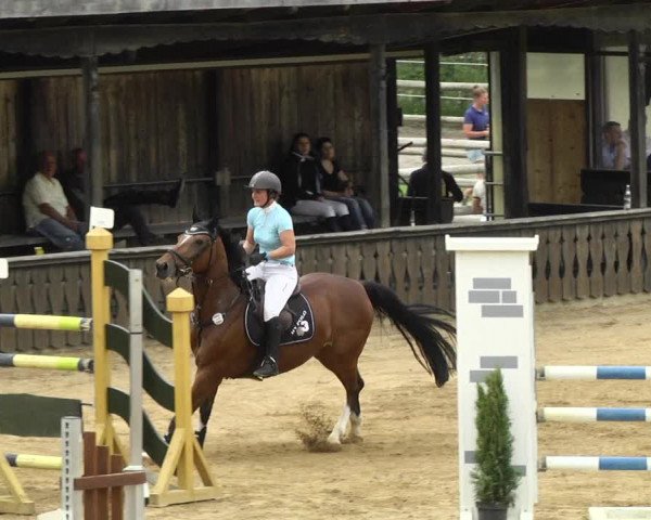 Reitturnier Schwaiganger 2017