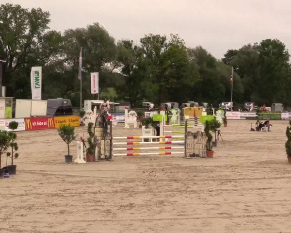 Reitturnier Detmold-Remmighausen 2017