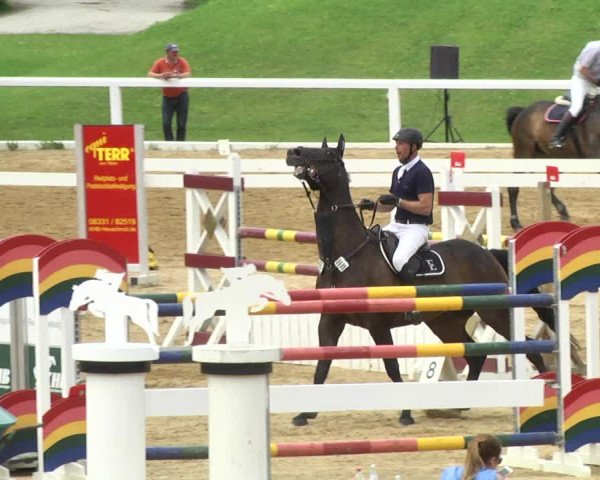Reitturnier Schwaiganger 2017
