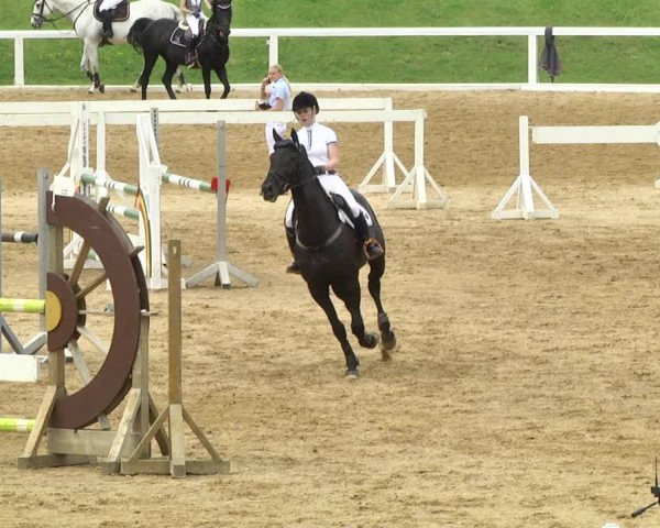 Reitturnier Schwaiganger 2017