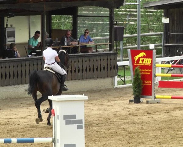 Reitturnier Schwaiganger 2017