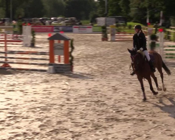 Reitturnier Detmold-Remmighausen 2017