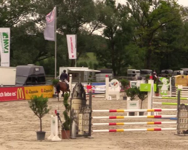 Reitturnier Detmold-Remmighausen 2017