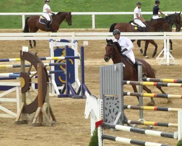 Reitturnier Schwaiganger 2017