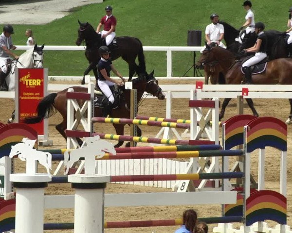Reitturnier Schwaiganger 2017