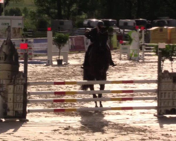Reitturnier Detmold-Remmighausen 2017