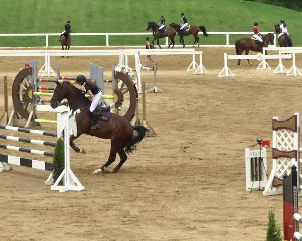 Reitturnier Schwaiganger 2017