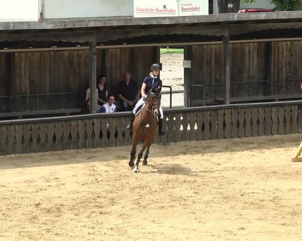 Reitturnier Schwaiganger 2017