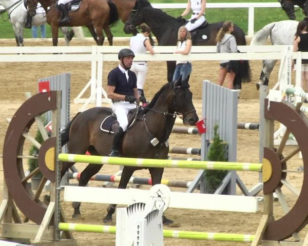 Reitturnier Schwaiganger 2017