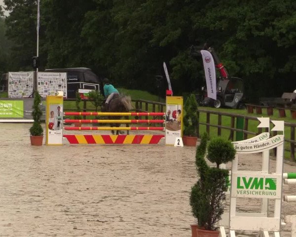 Reitturnier Detmold-Remmighausen 2017