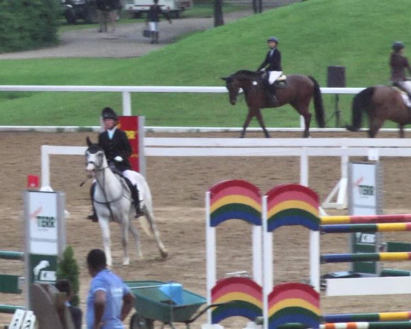 Reitturnier Schwaiganger 2017
