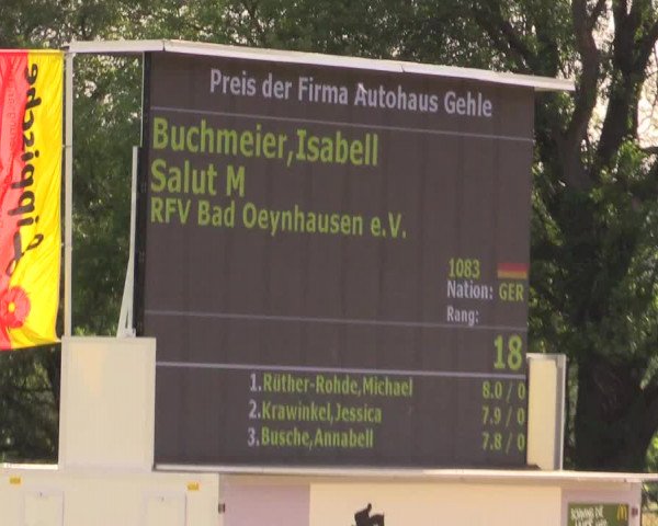 Reitturnier Detmold-Remmighausen 2017