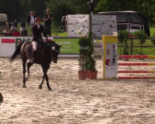 Reitturnier Detmold-Remmighausen 2017