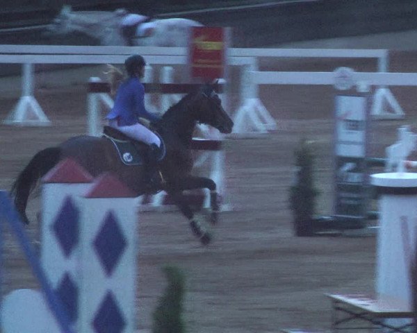 Reitturnier Schwaiganger 2017