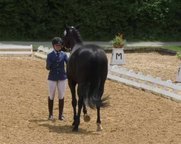 Reitturnier Schwaiganger 2017