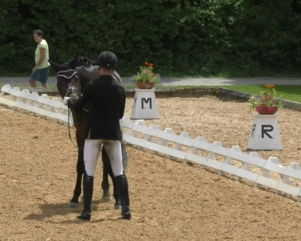 Reitturnier Schwaiganger 2017