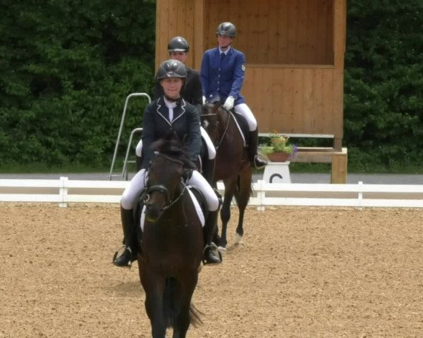 Reitturnier Schwaiganger 2017