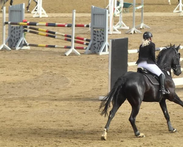 Reitturnier Schwaiganger 2017