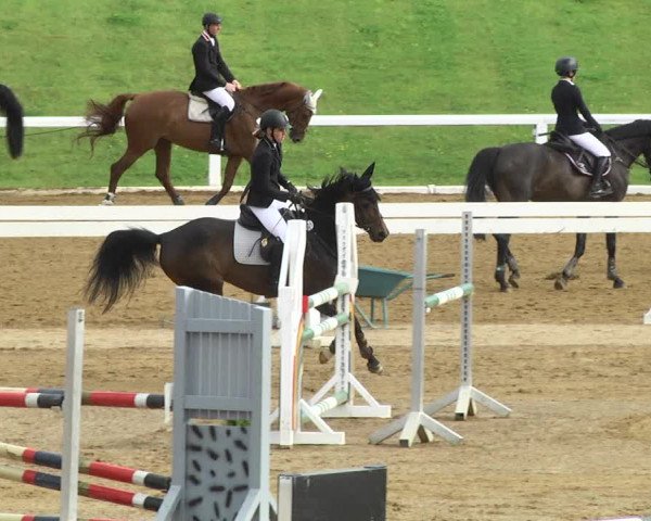 Reitturnier Schwaiganger 2017