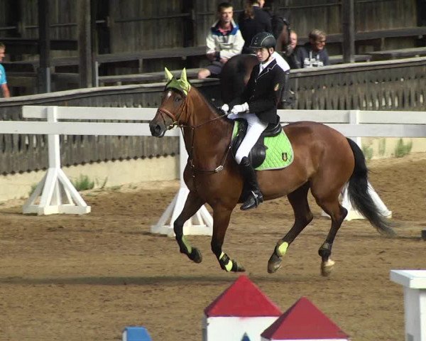 Reitturnier Schwaiganger 2017