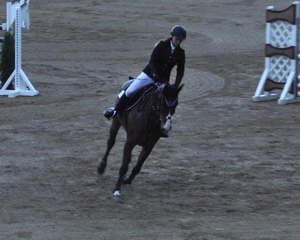 Reitturnier Schwaiganger 2017