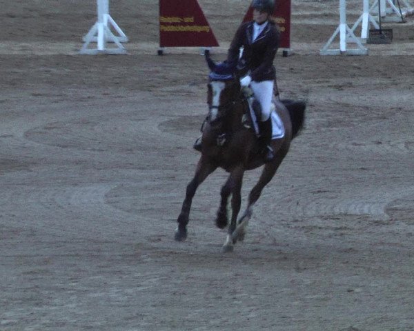 Reitturnier Schwaiganger 2017