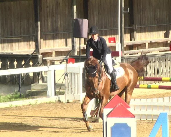 Reitturnier Schwaiganger 2017