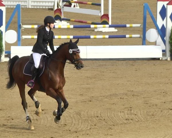 Reitturnier Schwaiganger 2017