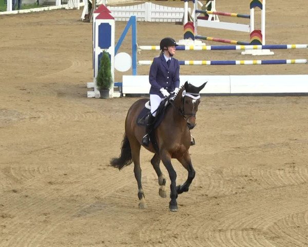 Reitturnier Schwaiganger 2017