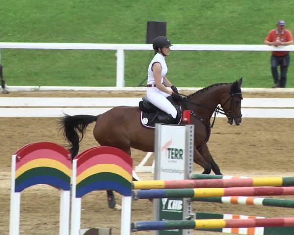 Reitturnier Schwaiganger 2017