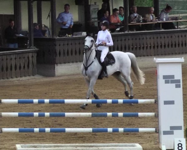 Reitturnier Schwaiganger 2017