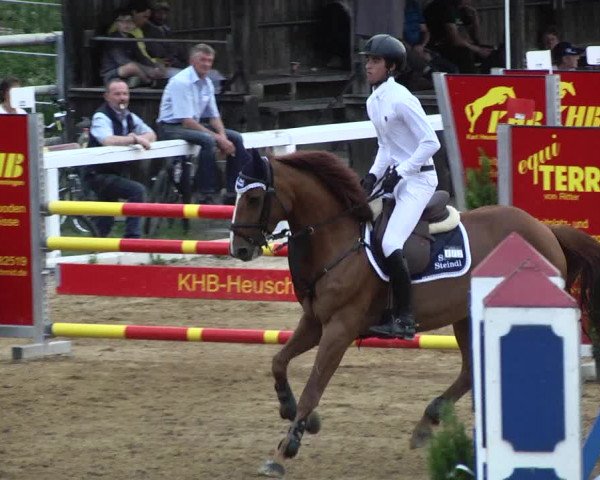 Reitturnier Schwaiganger 2017