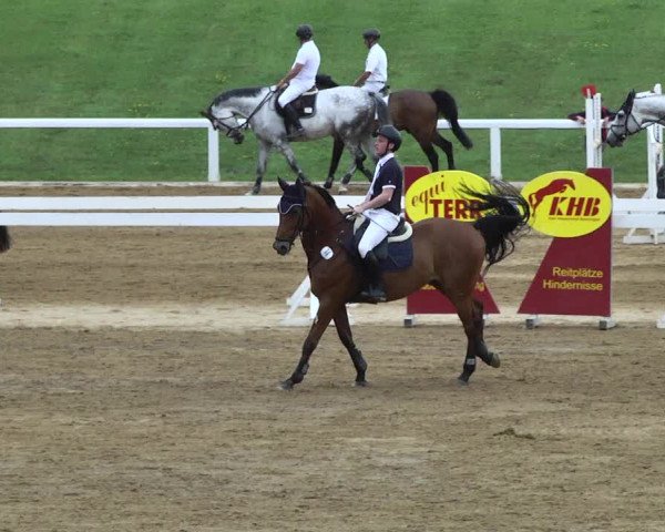Reitturnier Schwaiganger 2017