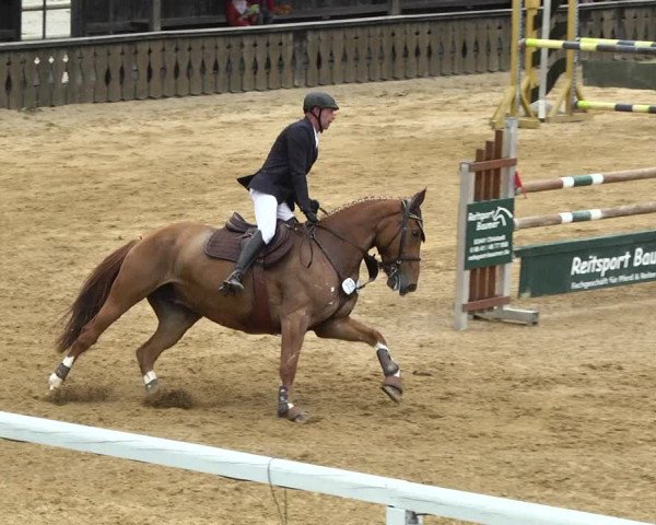 Reitturnier Schwaiganger 2017