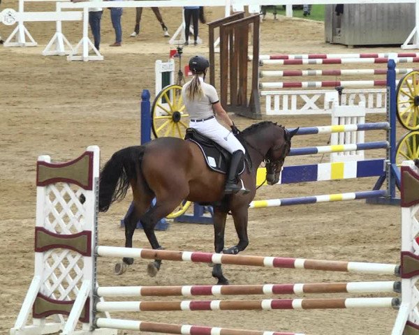 Reitturnier Schwaiganger 2017