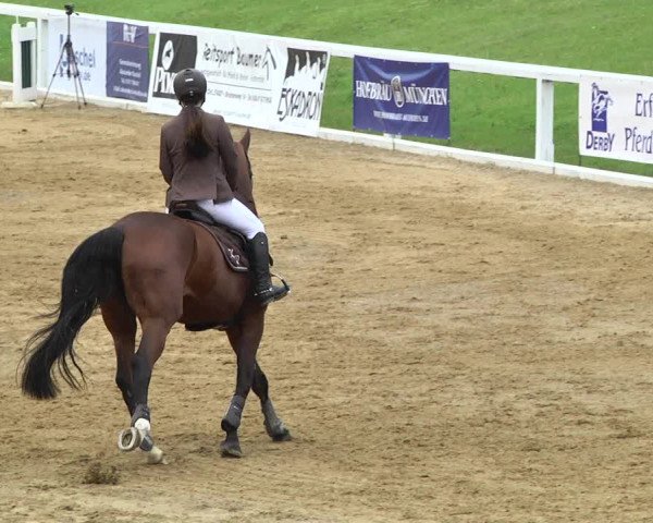 Reitturnier Schwaiganger 2017