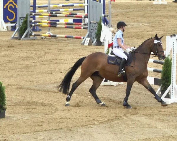 Reitturnier Schwaiganger 2017