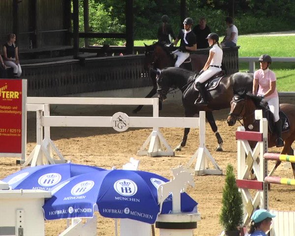 Reitturnier Schwaiganger 2017