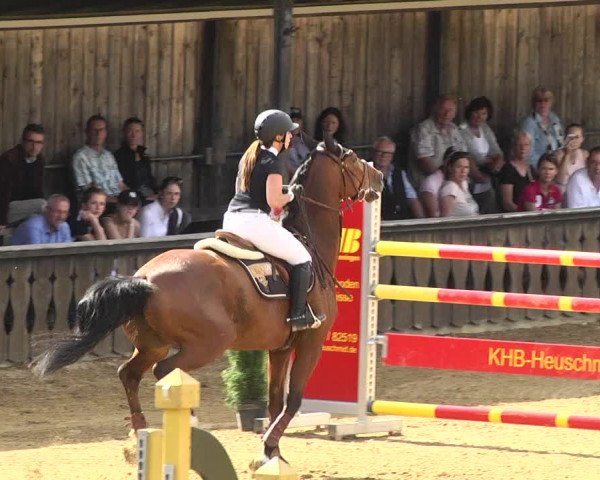 Reitturnier Schwaiganger 2017