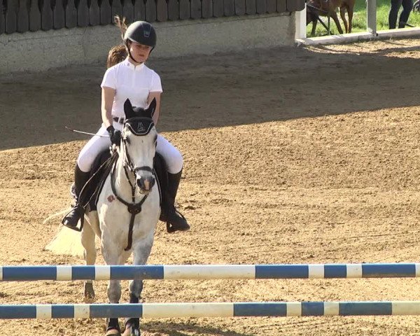 Reitturnier Schwaiganger 2017