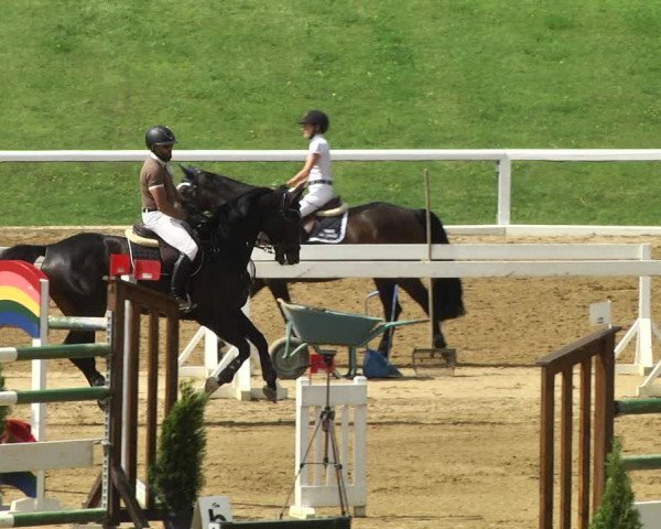 Reitturnier Schwaiganger 2017