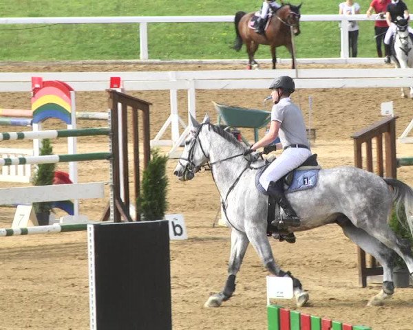 Reitturnier Schwaiganger 2017