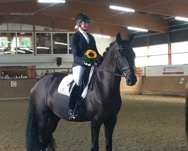 dressage horse Rubina 437 (Oldenburg, 2013, from Fürstenball)