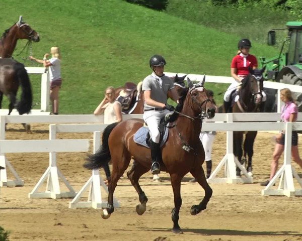 Reitturnier Schwaiganger 2017