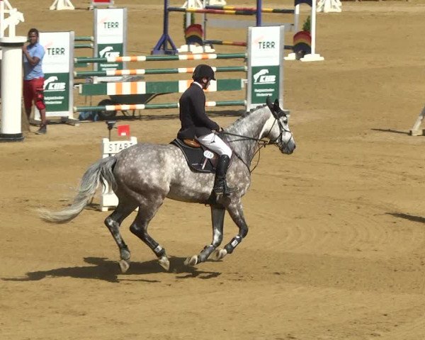 Reitturnier Schwaiganger 2017