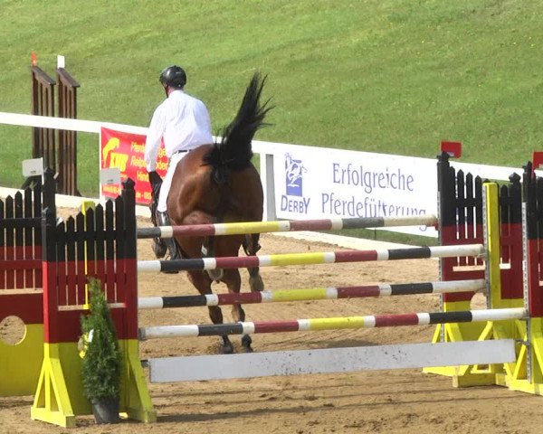 Reitturnier Schwaiganger 2017
